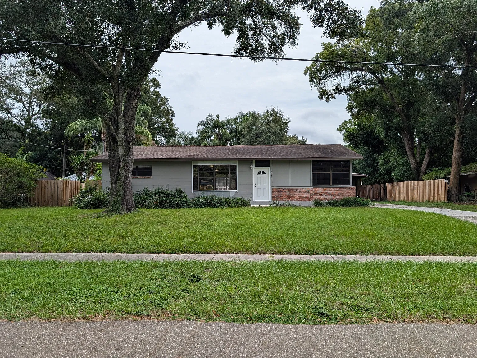 Charming 3 bed 2 bath Forest Hills Home — Photo 2