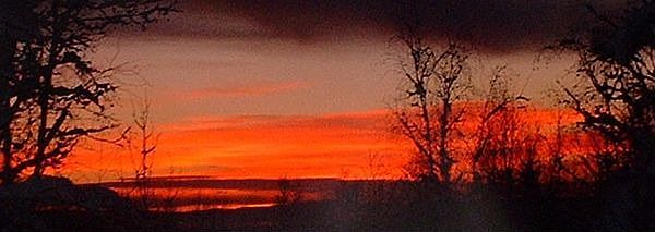 sunrise from picture window