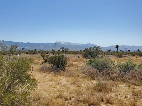 Vicinity Ave #U-2, Llano, CA 93544