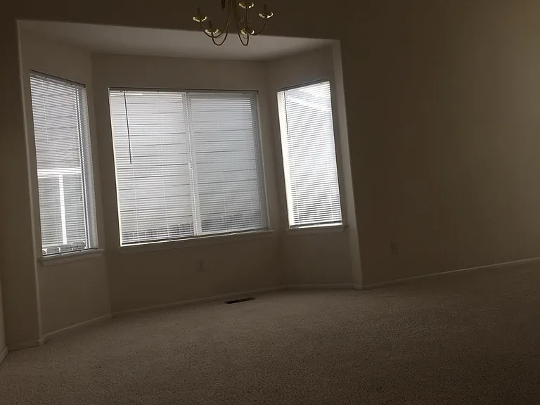 923 Grays Peak Dr — Photo 50