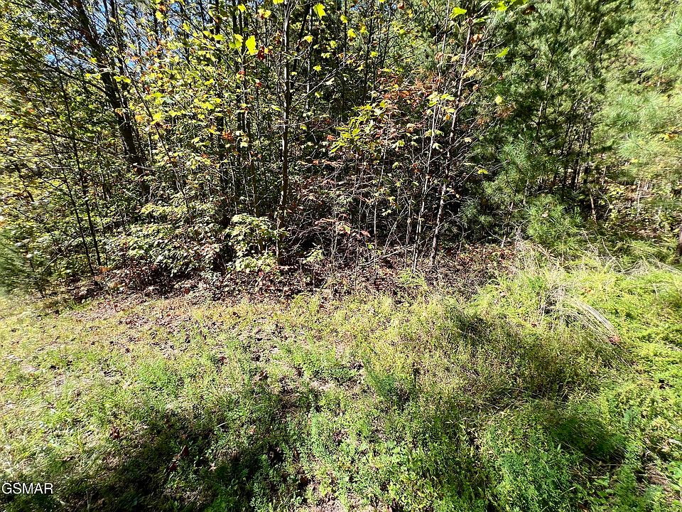 1st image of 5.61 Acre Creek Hollow Way