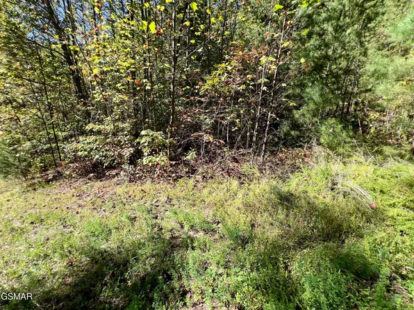 5.61 Acre Creek Hollow Way, Sevierville, TN 37876