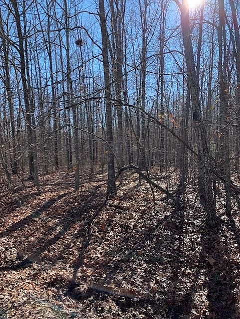 1st image of 120 Cedarbrush Ln