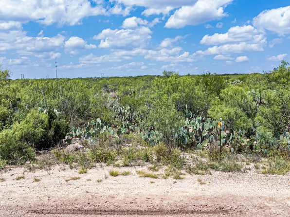 Los Mesquites Rd, Laredo, TX 78041