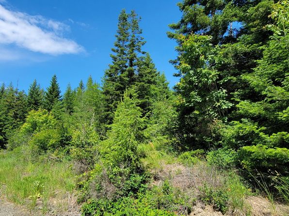 Nna Bootlegger Lane Parcel 1, Bonners Ferry, ID 83805
