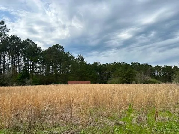 431 Bass Burkett Rd, Carson, MS 39427