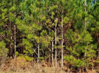 Clear Lake Road Rd LOT 29, Perkinston, MS 39573