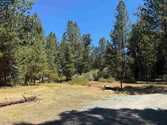 5th image of 4578 Pretty Good Rd