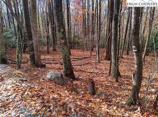 205 Rhododendron Drive, Beech Mountain, NC 28604