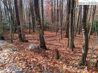 205 Rhododendron Drive, Banner Elk, NC, 28604