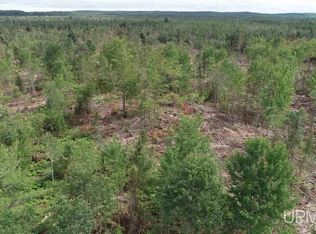 2440 Tbd Us Forest Hwy, Wetmore, MI 49895