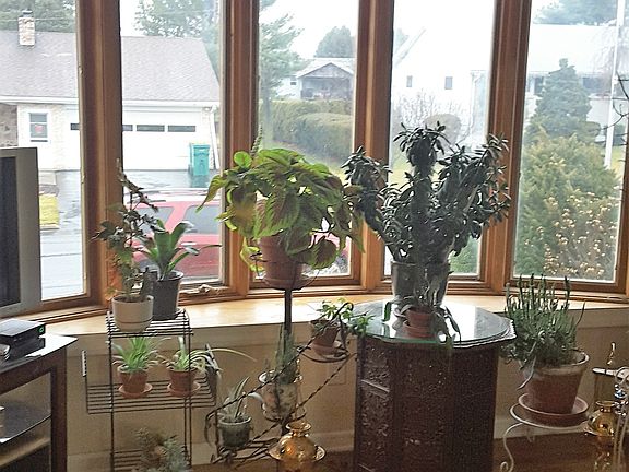 5th image of 5528 Louise Ln