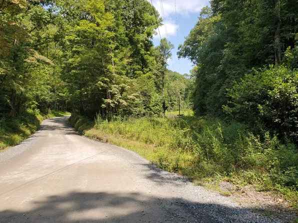0 Bushy Head Rd, Cherry Log, GA 30522