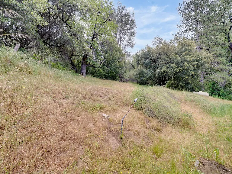 1019 Mount Aukum Ct — Photo 28