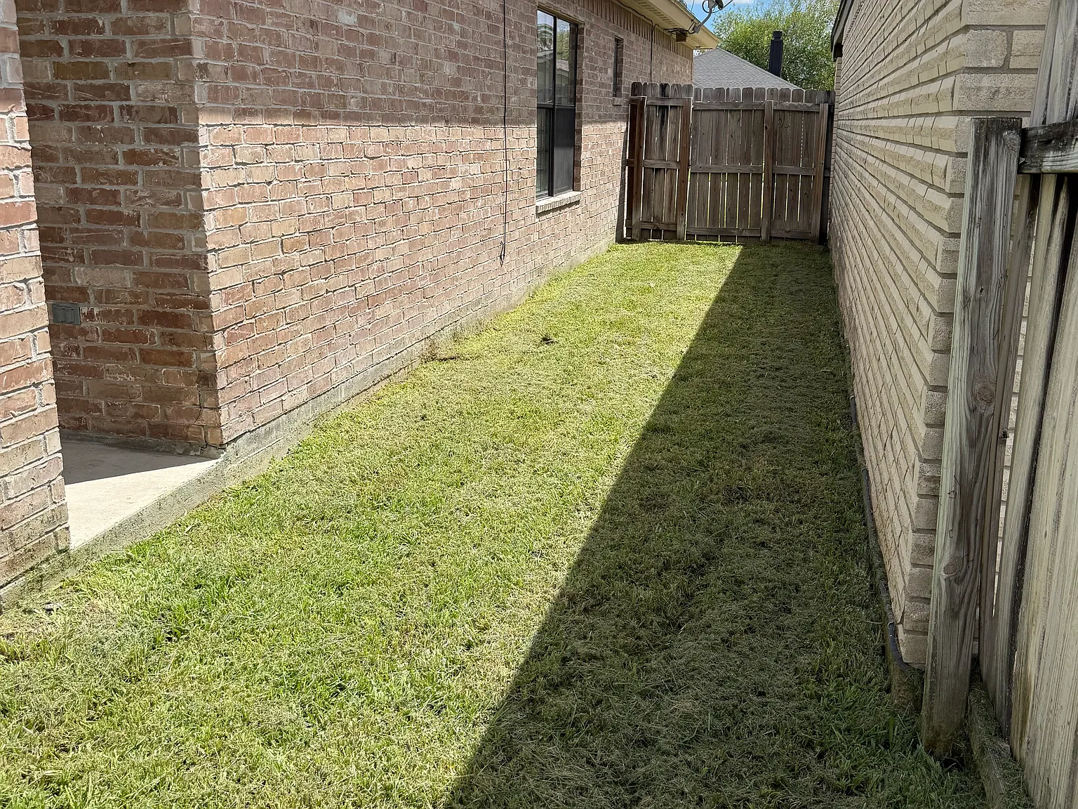 3 bed, 1374 sqft, $1,650 — Photo 3