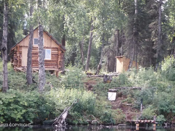 Township Road G No Rd, Skwentna, AK 99667