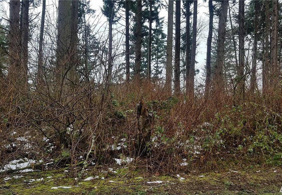 2nd image of 20 Saratoga Dr