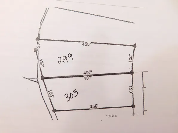 299 & 303 Davy Crockett Pl, Limestone, TN 37681