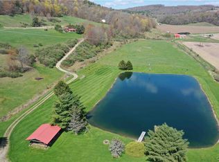 9929 State Route 961f, Arkport, NY 14807