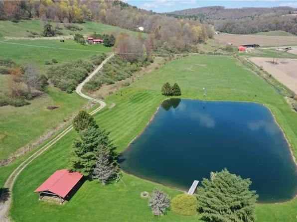 9929 State Route 961f, Arkport, NY 14807