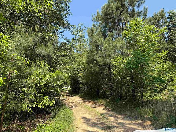 4th image of 167 County Road 1592