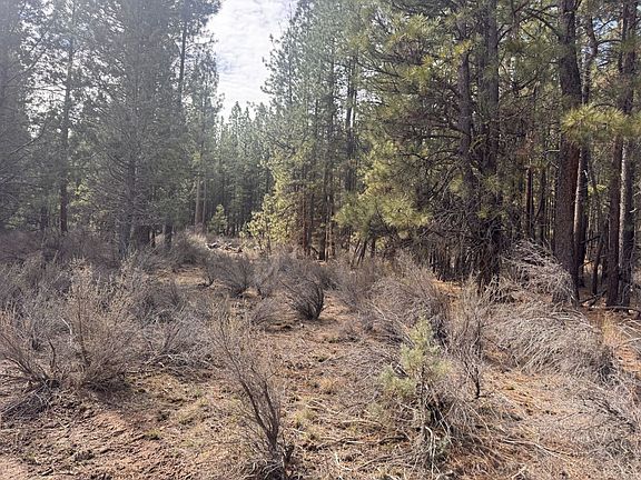 4th image of Bliss Rd