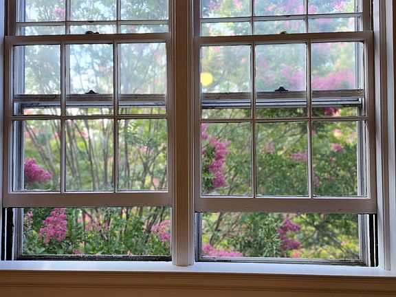 Close-up to majestic crepe myrtles