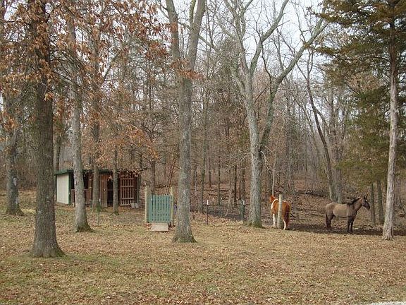 4th image of 3044 Cresco Dr