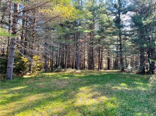 LOT 33 Nellis Rd LOT 33, Cold Brook, NY 13324