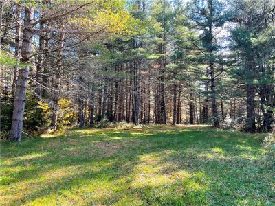 LOT 33 Nellis Rd, Cold Brook, NY, 13324