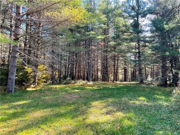 LOT 33 Nellis Rd Lot 33, Cold Brook, NY 13324