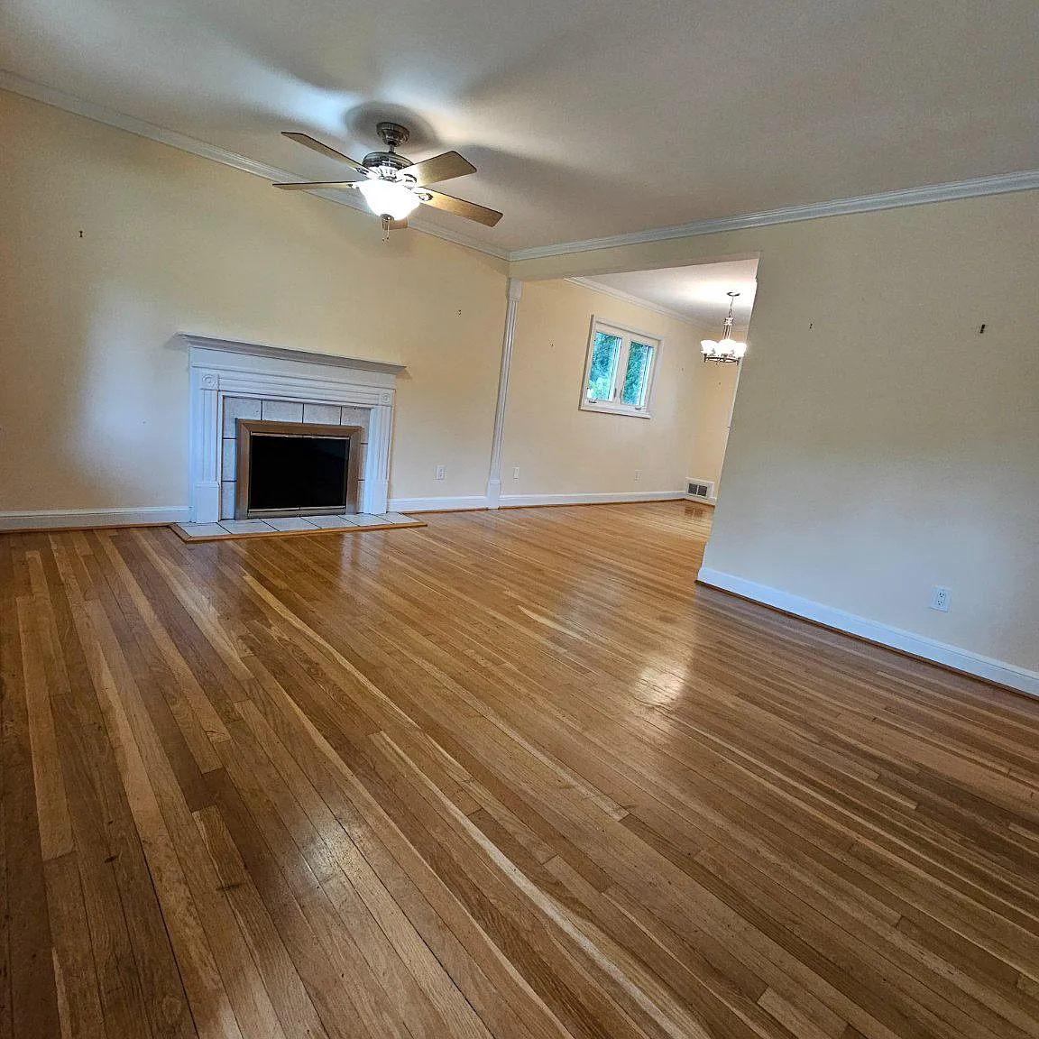 4 bed, 2.0 bath, 2080 sqft, $3,595 — Photo 4