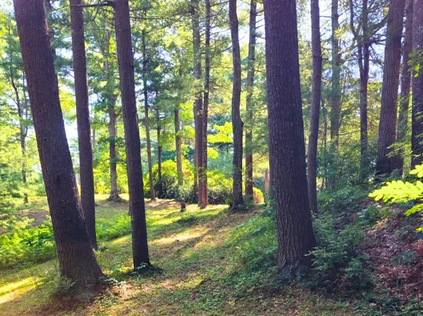 0 Nel Bonney Rd, Plympton, MA 02367