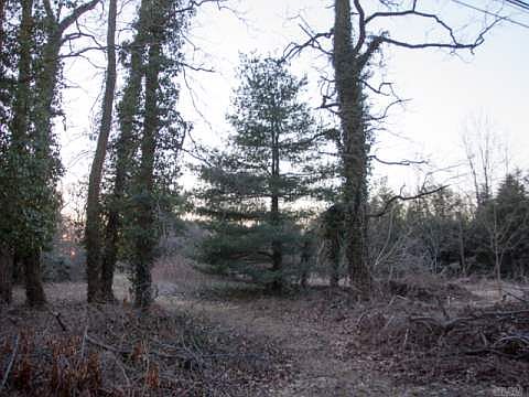 1st image of 79 Timberpoint Dr