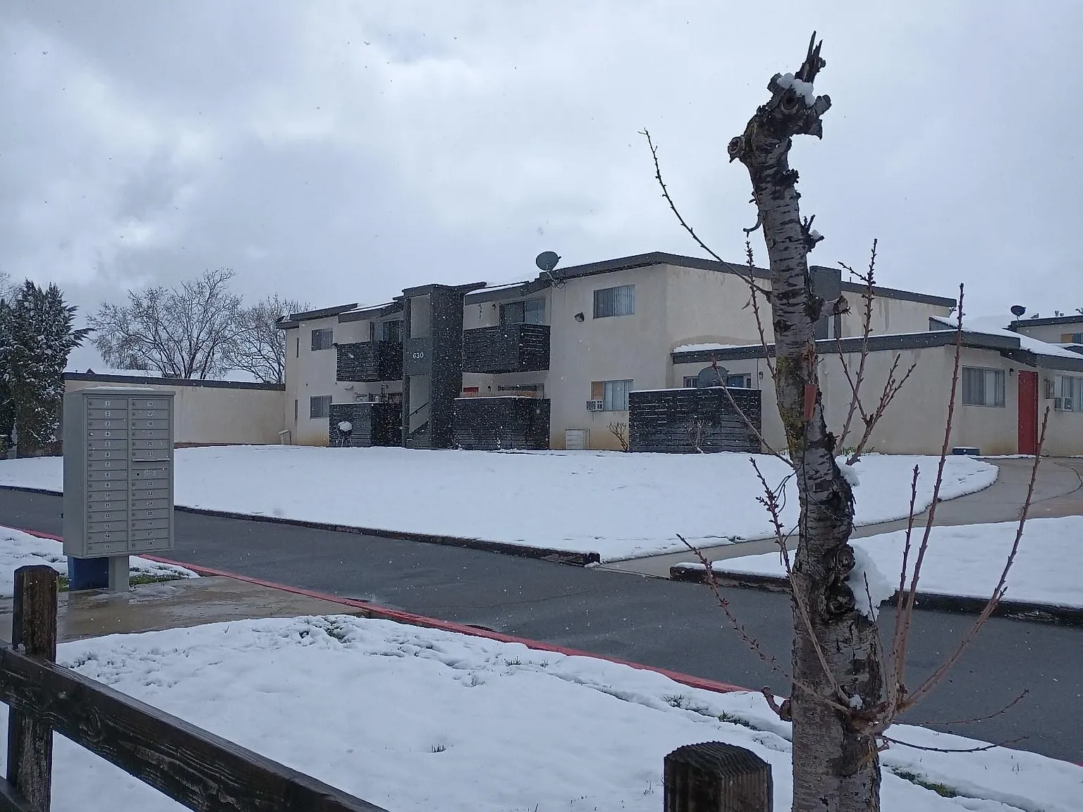 1 bed, 758 sqft, $1,399 — Photo 4