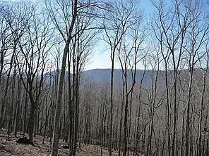 101 Deer Run #6304 photo 1