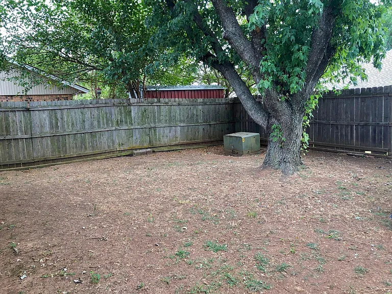 Tree has been removed