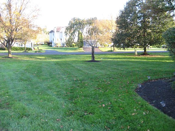 View of portion of front yard