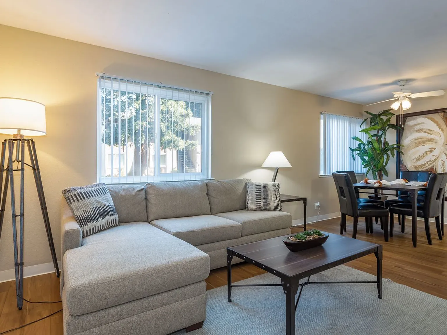 Acacia Apartments — Photo 3