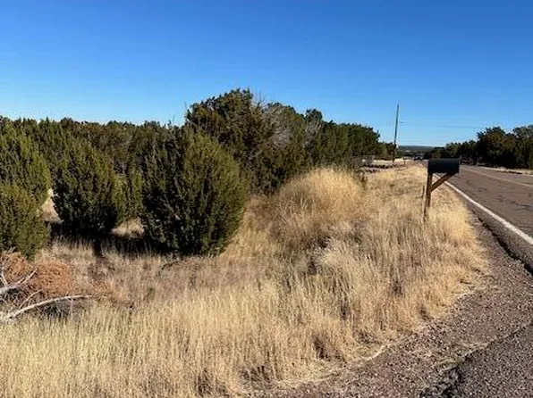 8632 Silver Creek Dr, Show Low, AZ 85901