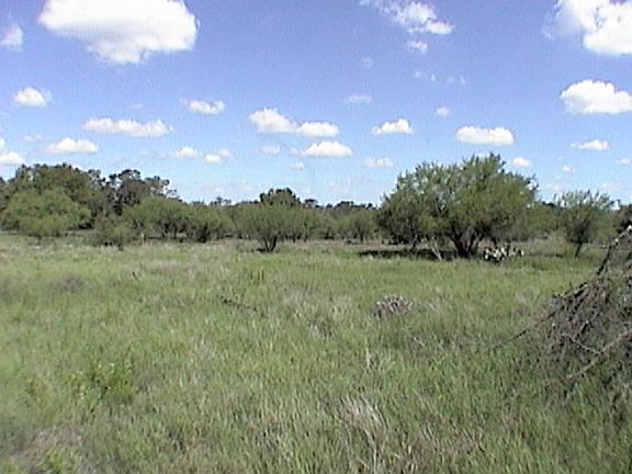 4th image of 6912 Fm 2438