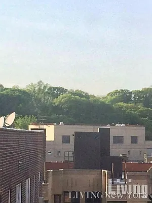 Rented by Living New York | media 3