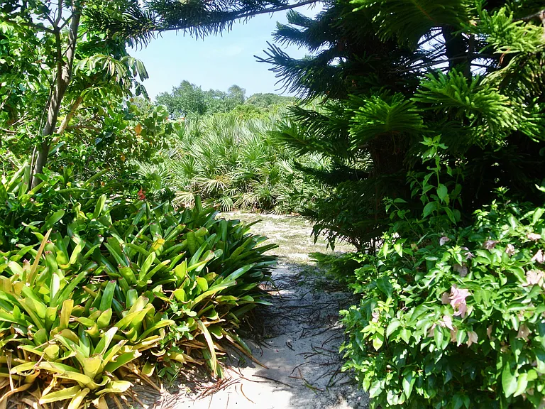 121 Ocean Cove Dr #121 — Photo 37