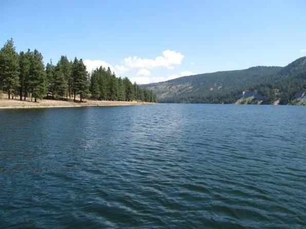 20XX Ray Anderson Rd, Kettle Falls, WA 99141