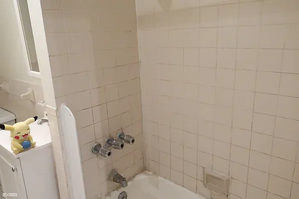 Rented by Citi Habitats | media 8