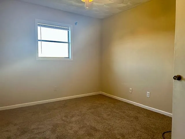 309 Timberline Dr — Photo 4