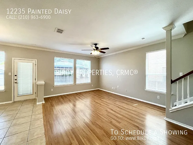 12235 Painted Daisy — Photo 12