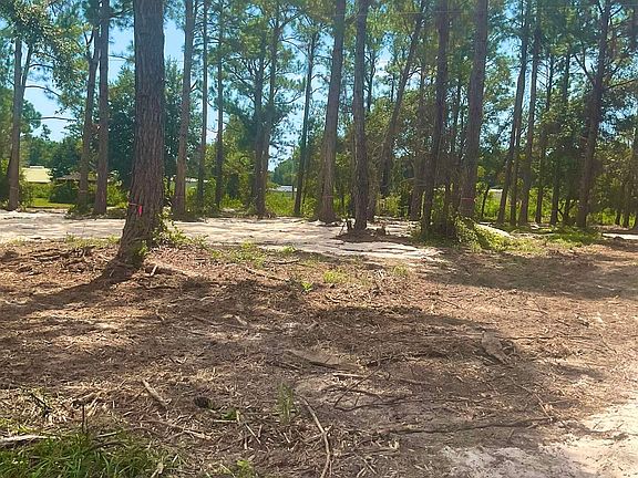 4th image of Robinson Ln