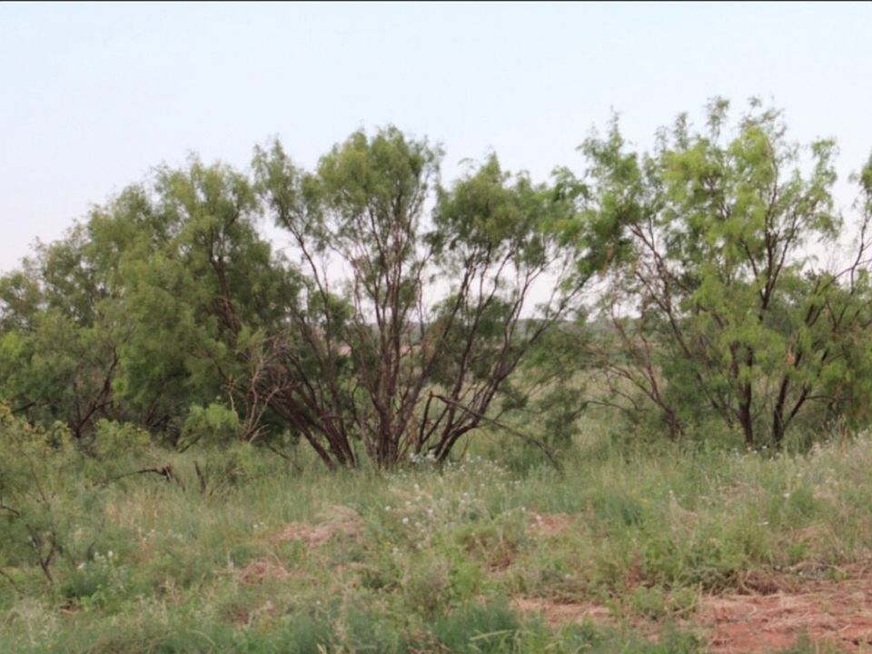 1st image of 300 County Road 232