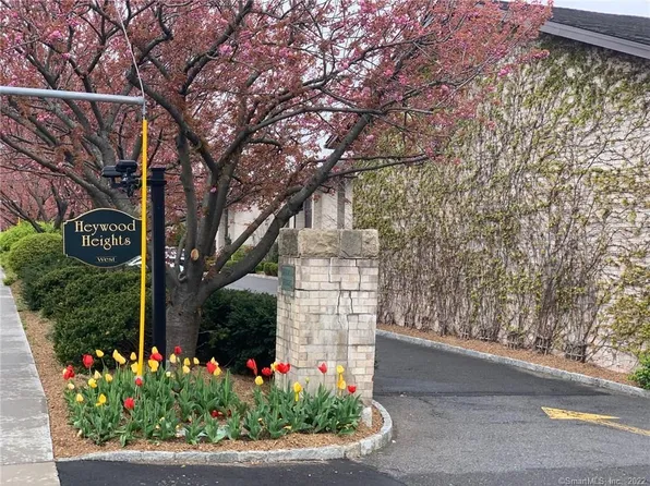 249 Hamilton Avenue #06, Stamford, CT 06902